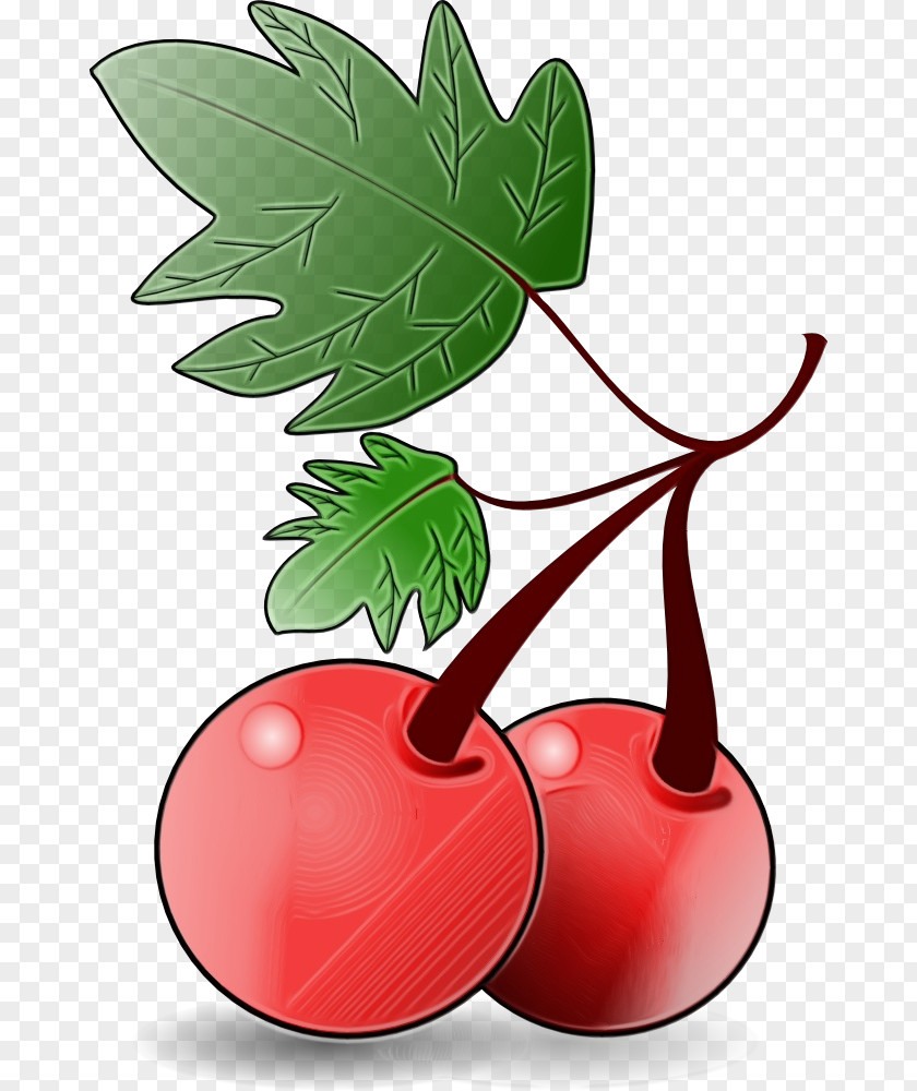 Cherry Radish Leaf Clip Art Plant Tree Fruit PNG