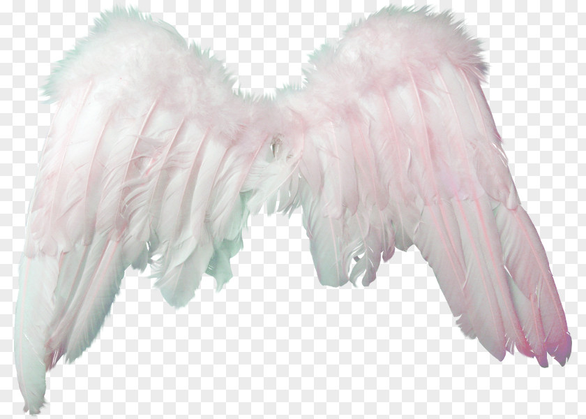 Clipart Angel Photography Photomontage PNG