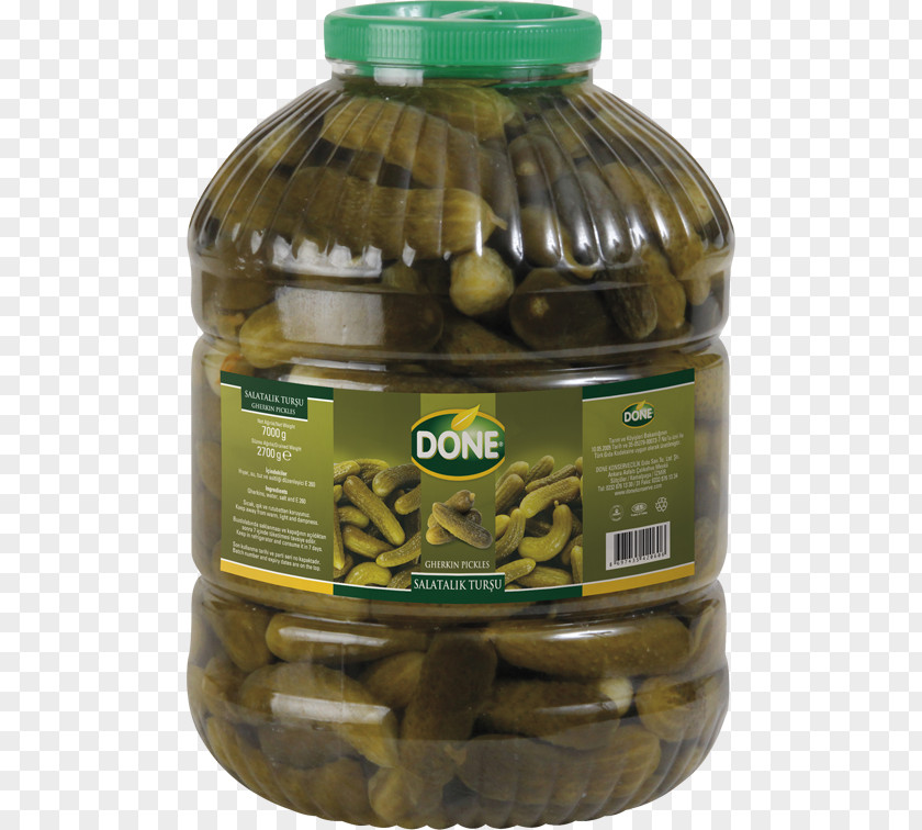 Cucumber Pickle Pickled Torshi Pickling South Asian Pickles Painting PNG