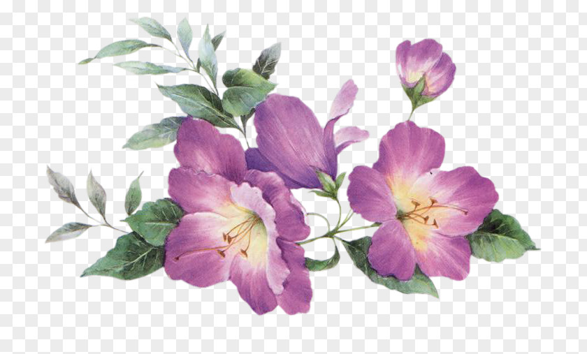 Flower Mauve Bouquet Blue Violet PNG