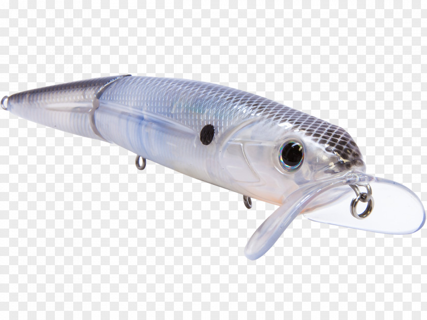 Lure AC Power Plugs And Sockets Fish PNG