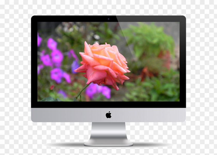 MAC Apple Computer Design Mockup IMac PNG