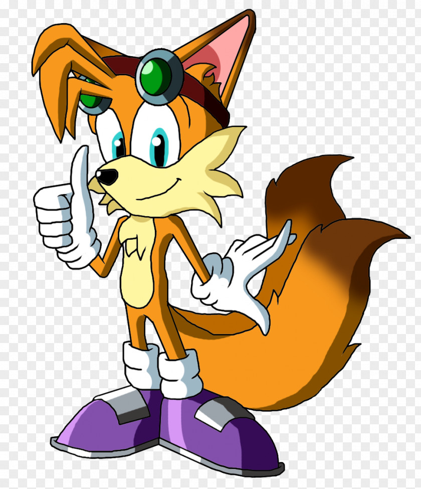 Sonic Tails & Knuckles The Echidna Princess Sally Acorn Character PNG