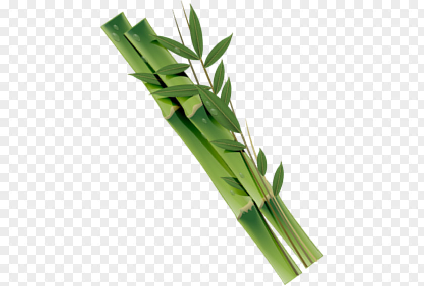 Stained Bamboo Download PNG