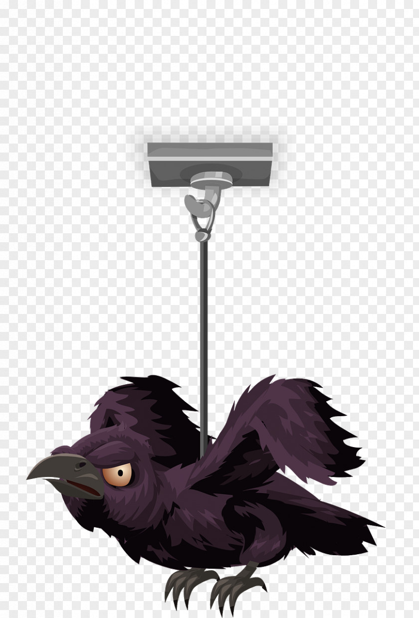The Crow Taxidermy PNG
