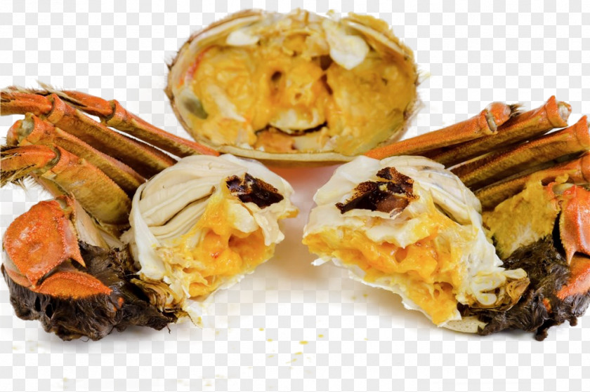 Crabs Chinese Mitten Crab Eating Food U87f9u9ec3u6e6fu5305 PNG