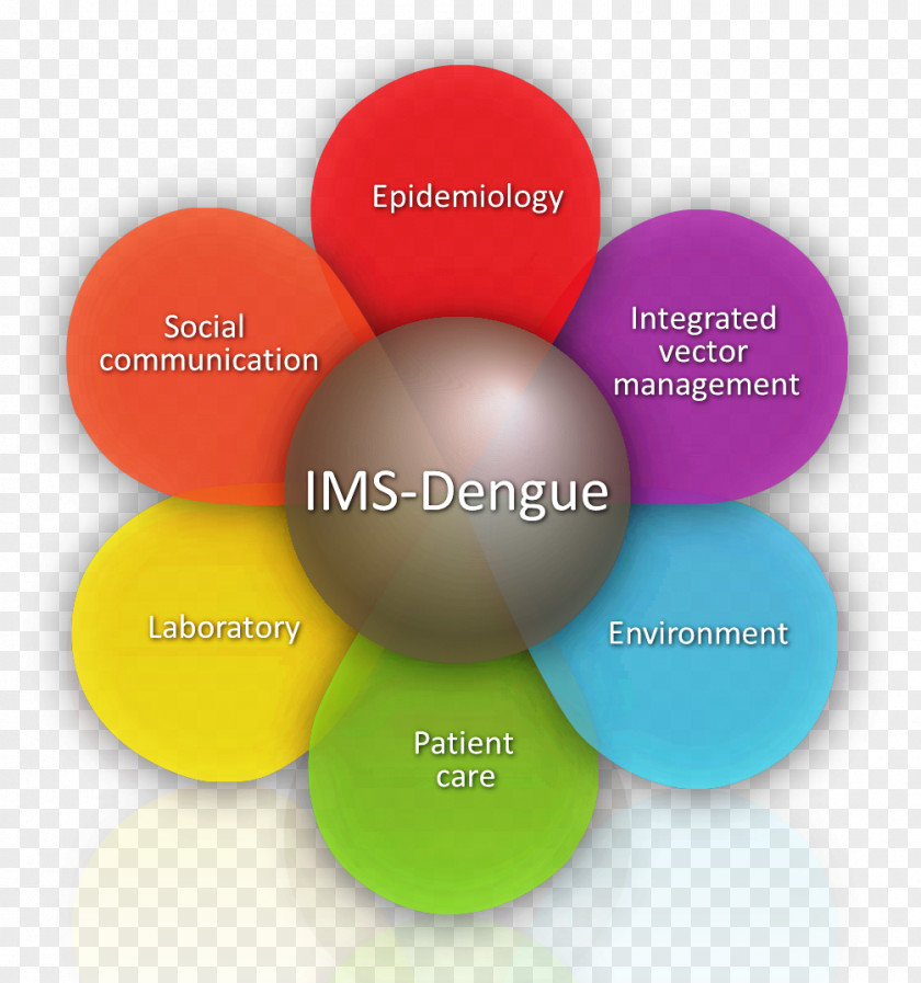 Dengue Fever Strategy Management Pan American Health Organization Preventive Healthcare PNG