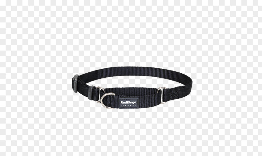 Dog Collar Martingale Leash PNG