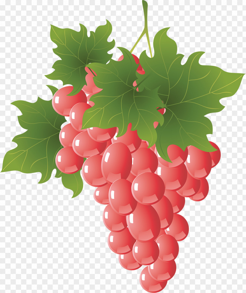 Grapes Fruit Grape Auglis PNG