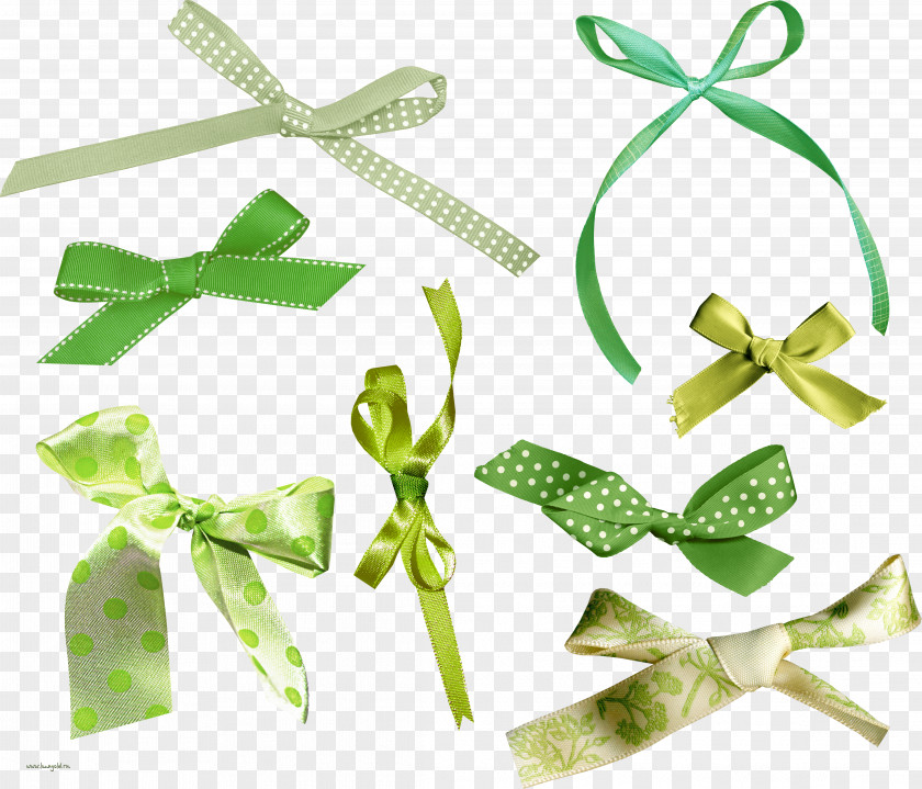 IFolder DepositFiles Green Clip Art PNG