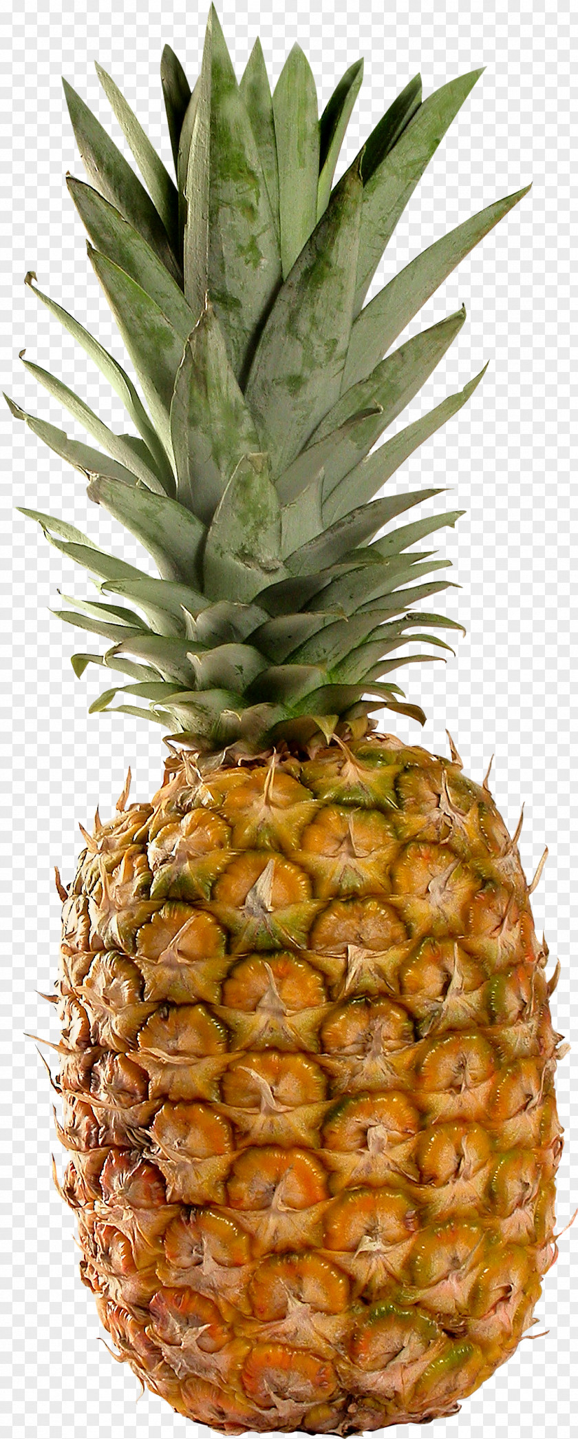 Pineapple Image, Free Download Juice Fruit PNG