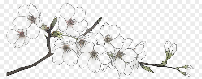 Plum Flower Line PNG