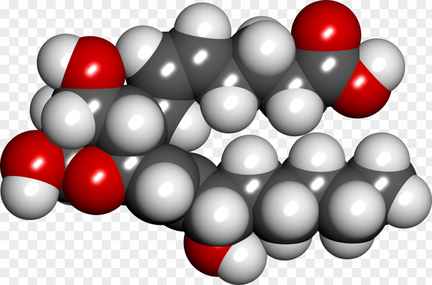Thromboxane B2 A2 Platelet Eicosanoid PNG