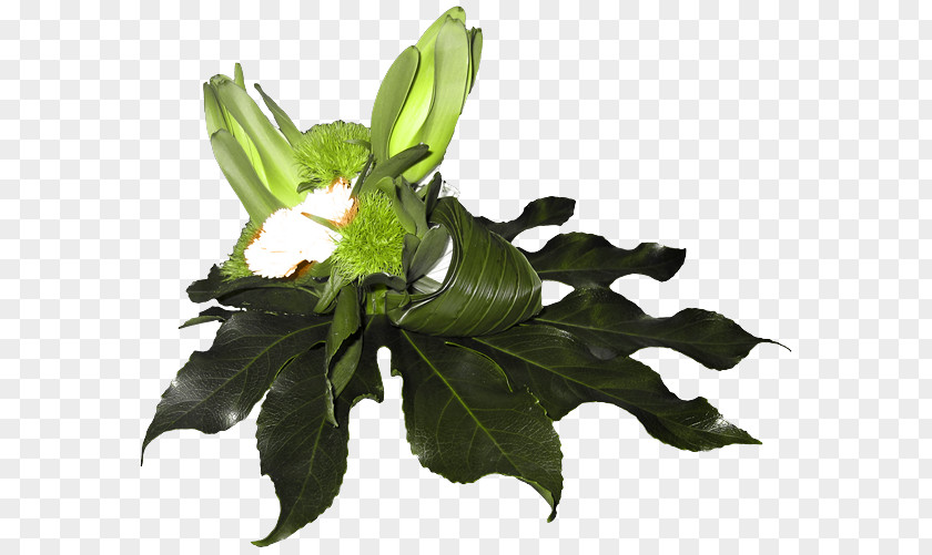 Cut Flowers Floral Design Leaf Clip Art PNG