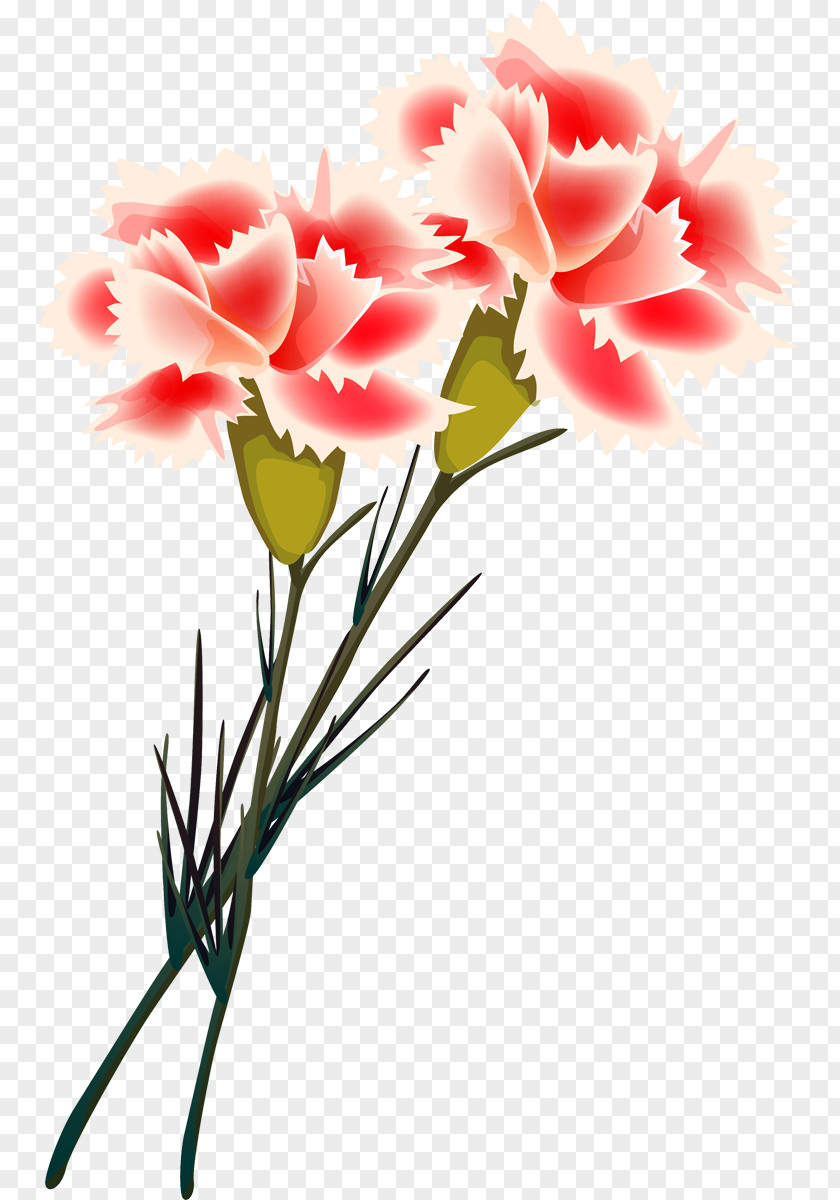 Flower Carnation Cut Flowers Painting Floral Design PNG