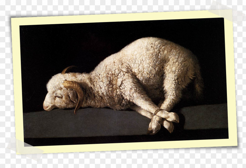 Imagem Youtube Bible Liturgy Westminster Confession Of Faith God The Lamb PNG