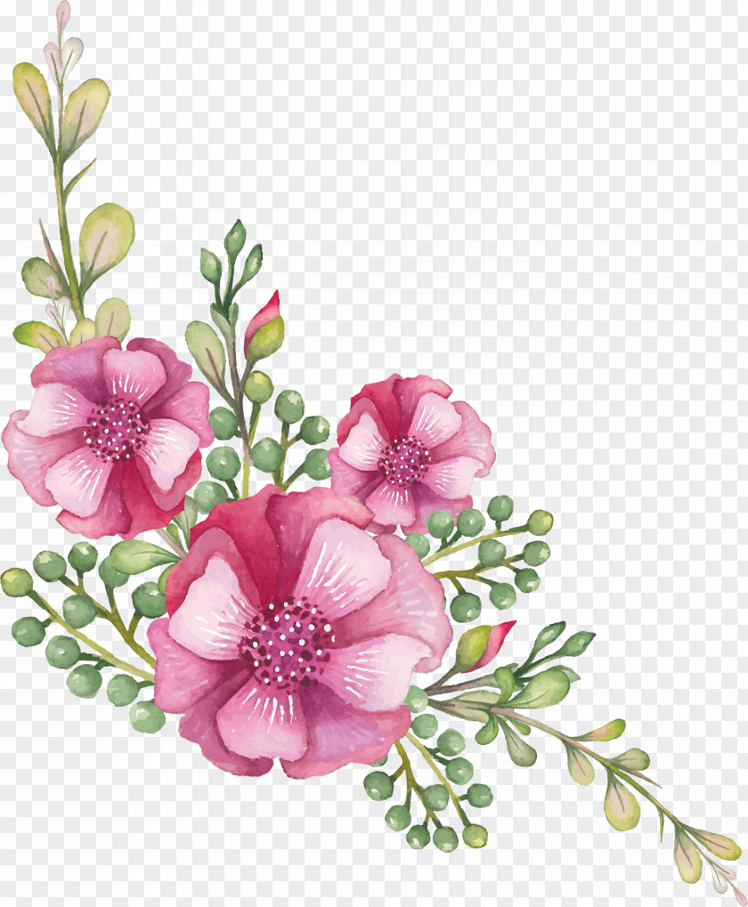 Subshrubby Peony Flower Cut Flowers Floral Design Centifolia Roses Garden PNG