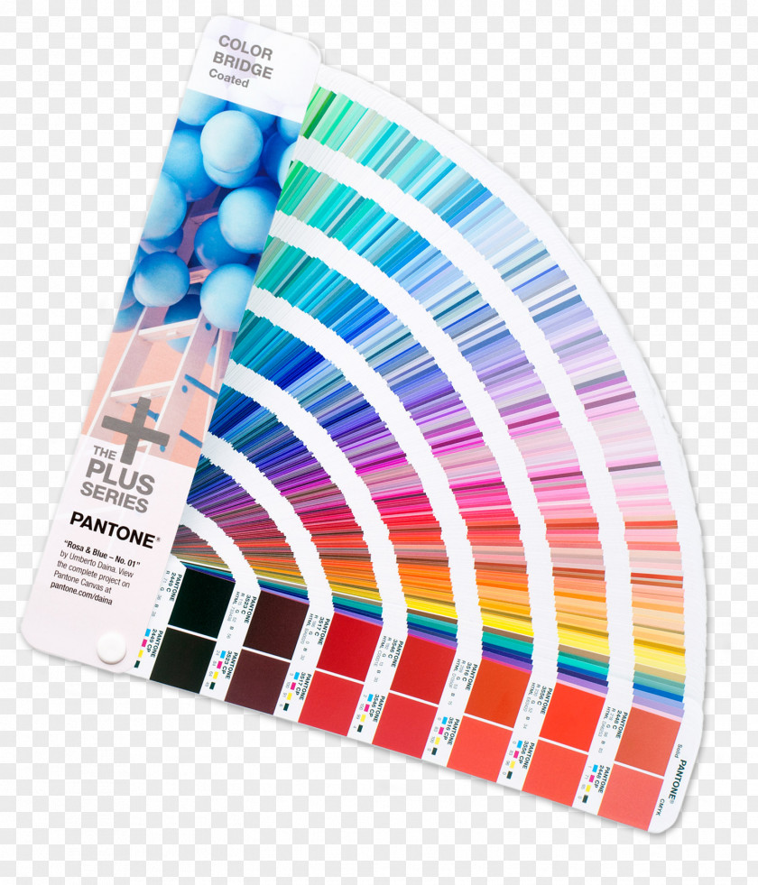 Web Design Colors Pantone Hexadecimal PNG