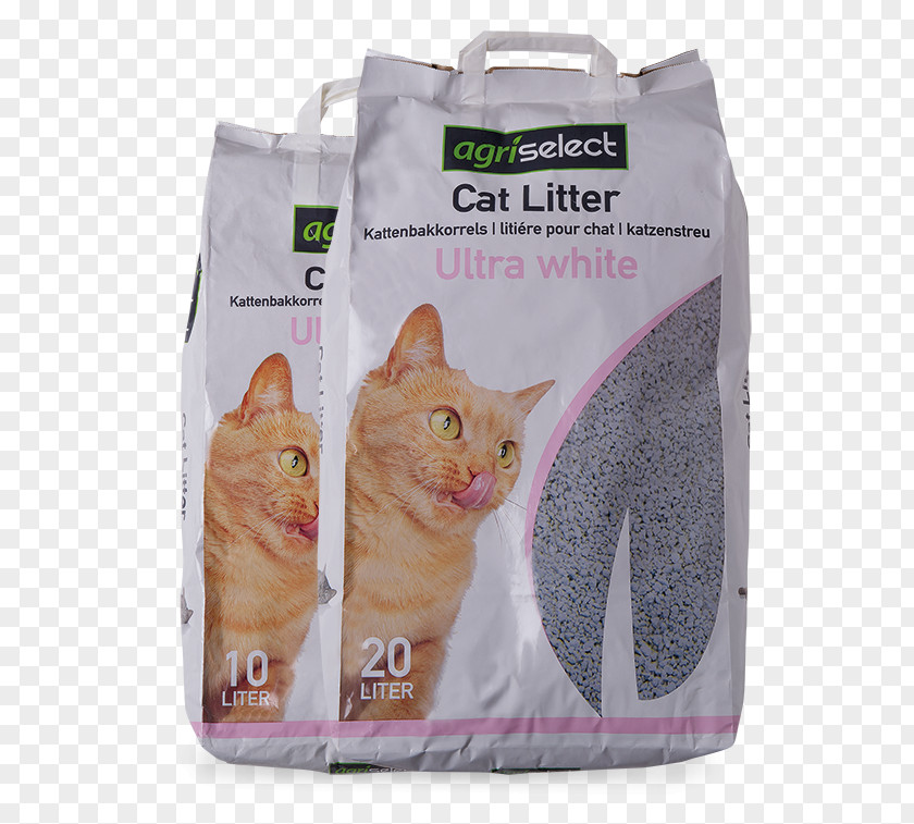 Cat Litter Trays Bentonite Mineral Agriselect Srl PNG