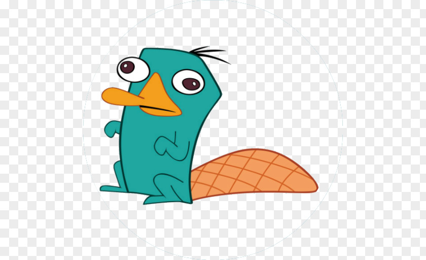 T-shirt Perry The Platypus Phineas Flynn Ferb Fletcher Clip Art PNG