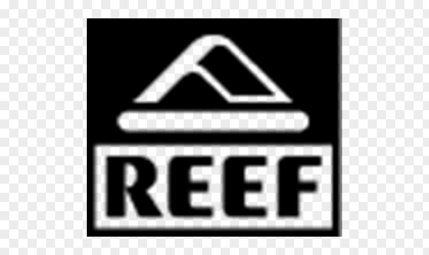 T-shirt Reef Logo Flip-flops Sandal PNG