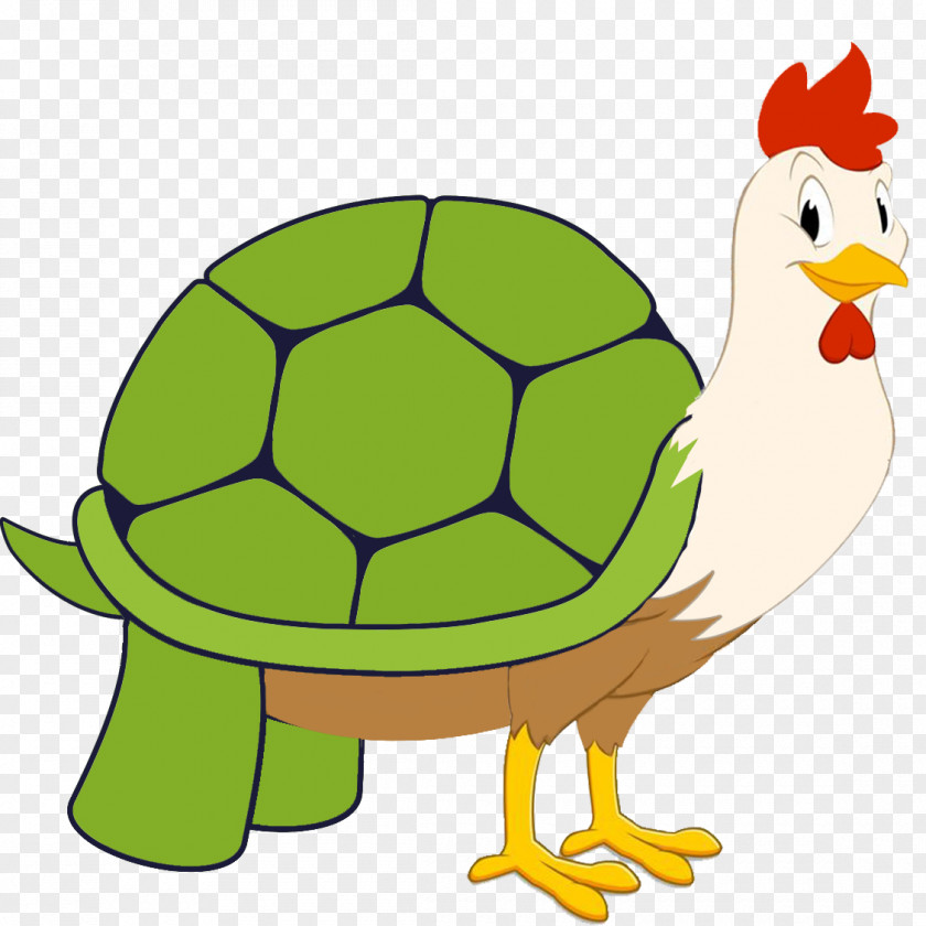 Tortoise Turtle Clip Art PNG