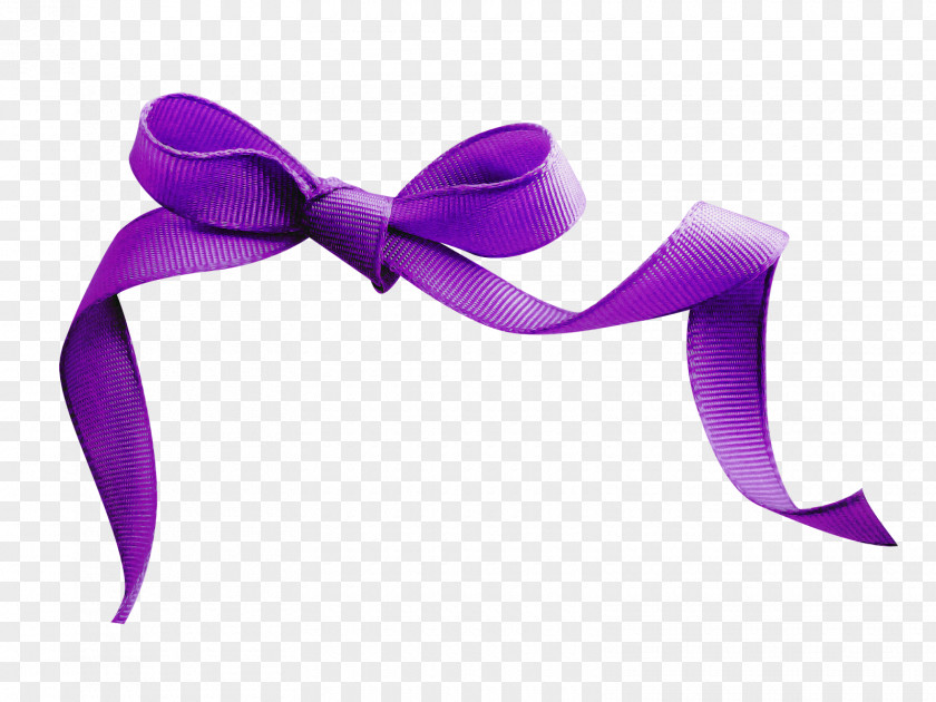 Violet Purple Ribbon Lilac Pink PNG