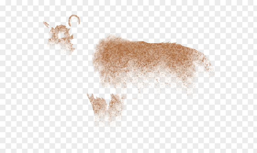 Brown Dust Dog Canidae Snout Fur Mammal PNG