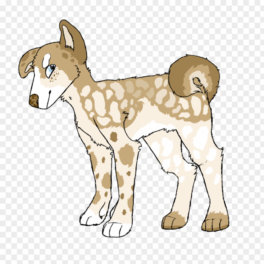 Corgi Puppy Dog Breed Cat Paw Clip Art PNG