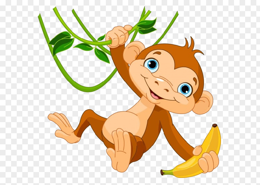 Monkey Baby Monkeys Clip Art PNG