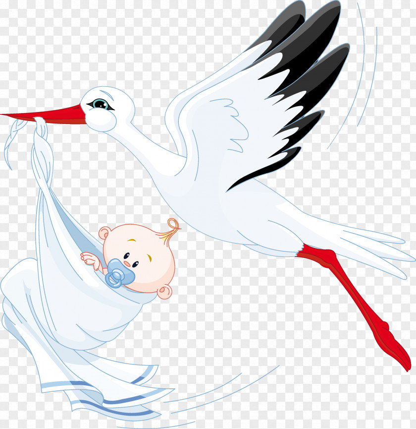 Pelican Stork Royalty-free Clip Art PNG