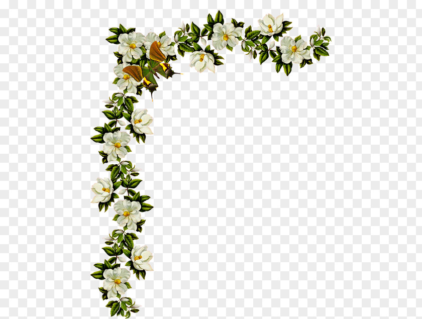 Tamil Wedding Floral Design Victorian Era Paper Bokmärke Border Flowers PNG