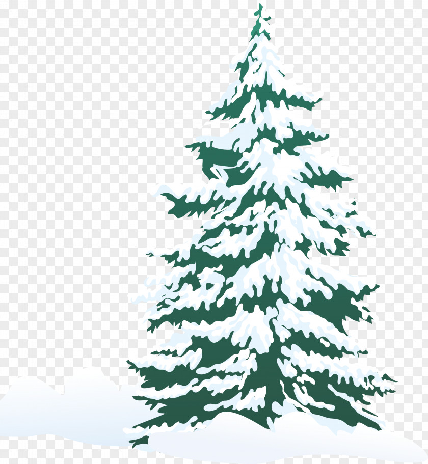 Christmas Tree Pine Snow Clip Art PNG
