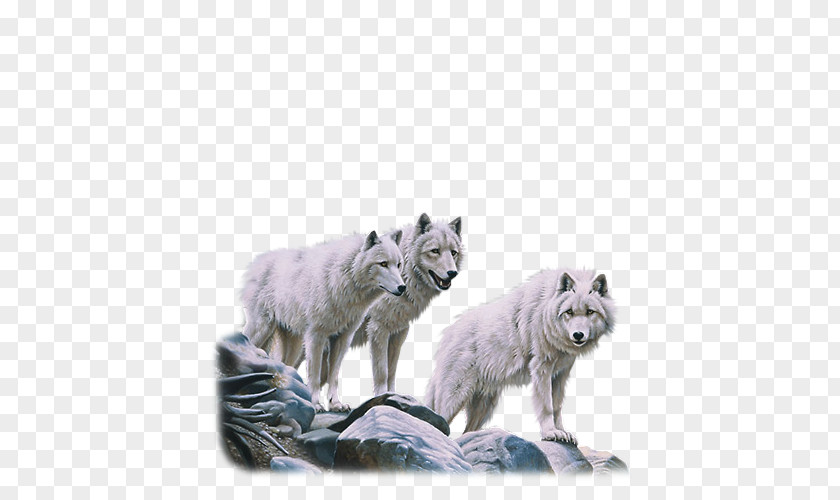 Dog Alaskan Tundra Wolf Arctic Red Deer Pack PNG