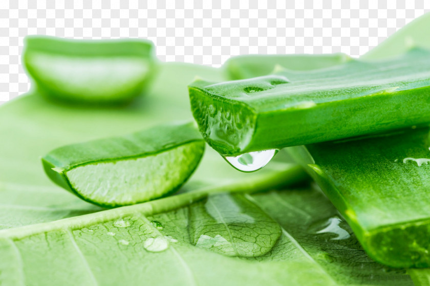 Aloe Vera Skin Nutrient Neck Inflammation PNG