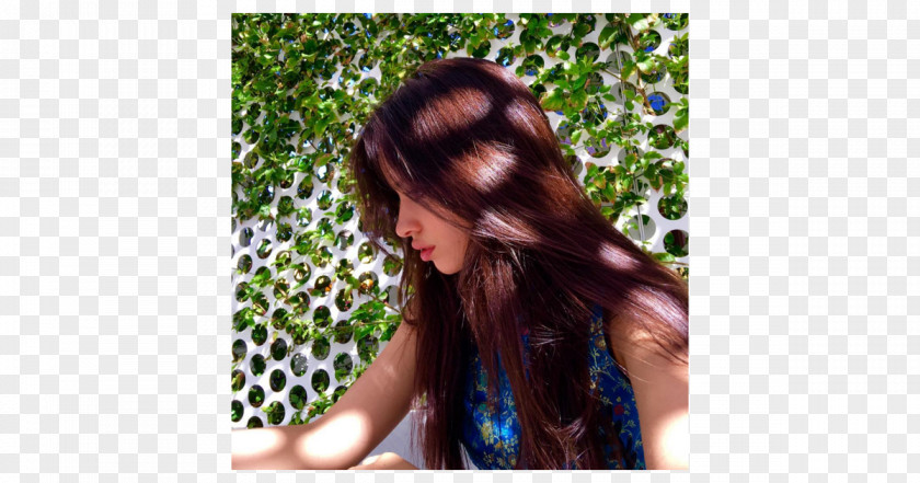 Camila Cabello Fifth Harmony Long Hair PNG