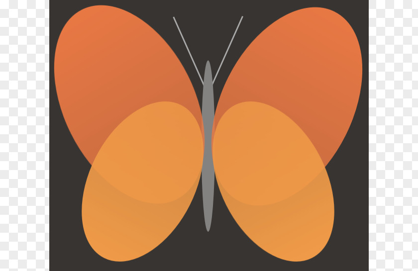 Orange Design Butterfly Clip Art PNG