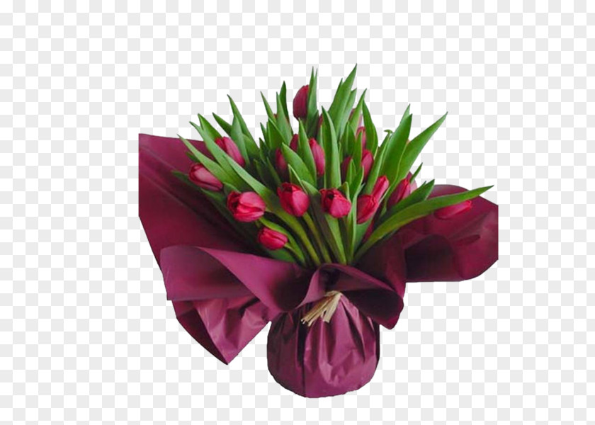 Tulip Floral Design Flower Bouquet Cut Flowers PNG