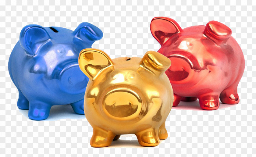 Color Piggy Bank Saving Money Domestic Pig PNG