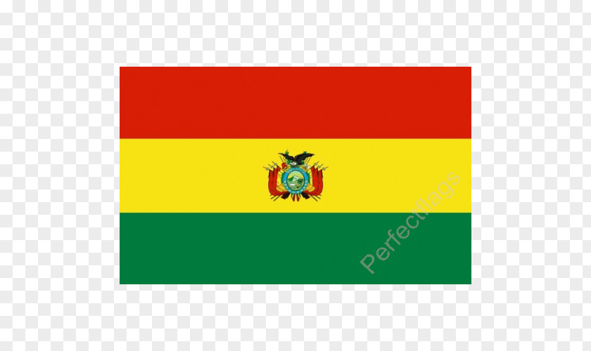 Flag Vatiacn Bolivia National Under-20 Football Team Of PNG