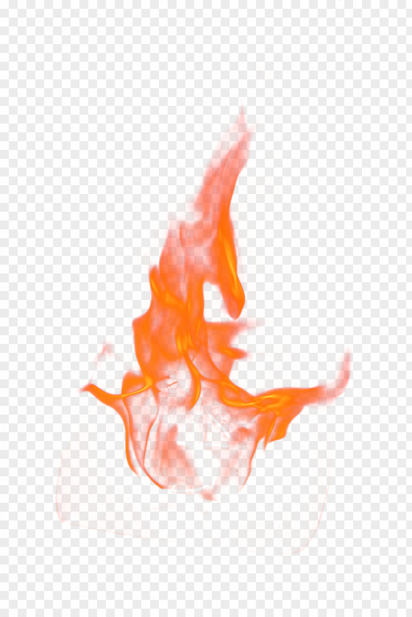 Flame Fire Light Clip Art PNG