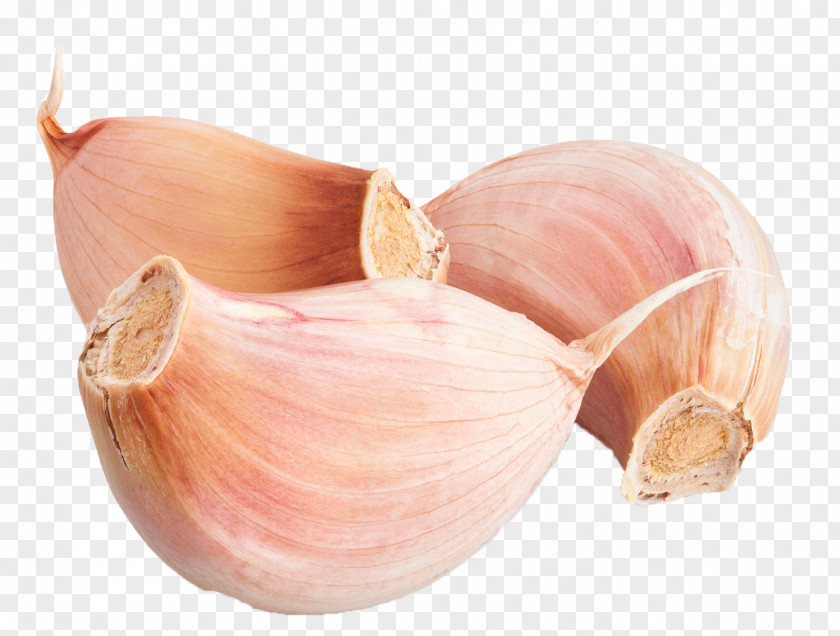 Immune Elephant Garlic Yellow Onion Shallot Solo Stock Photography PNG