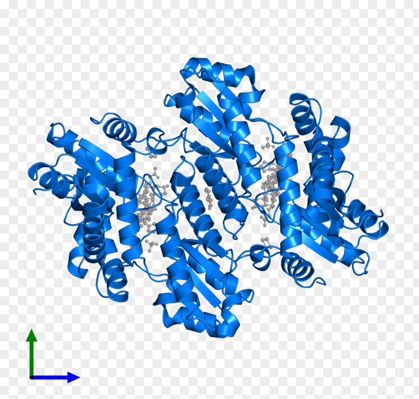 Mito Class Ferrochelatase Heme B Protoporphyrin IX PNG