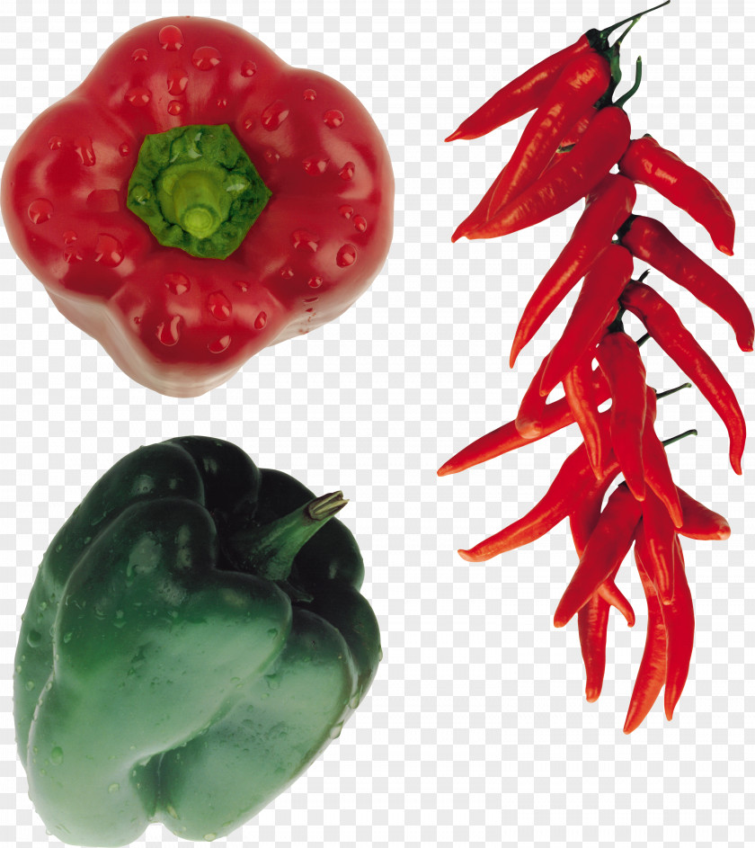 Pepper Bird's Eye Chili Cayenne Bell Vegetable PNG