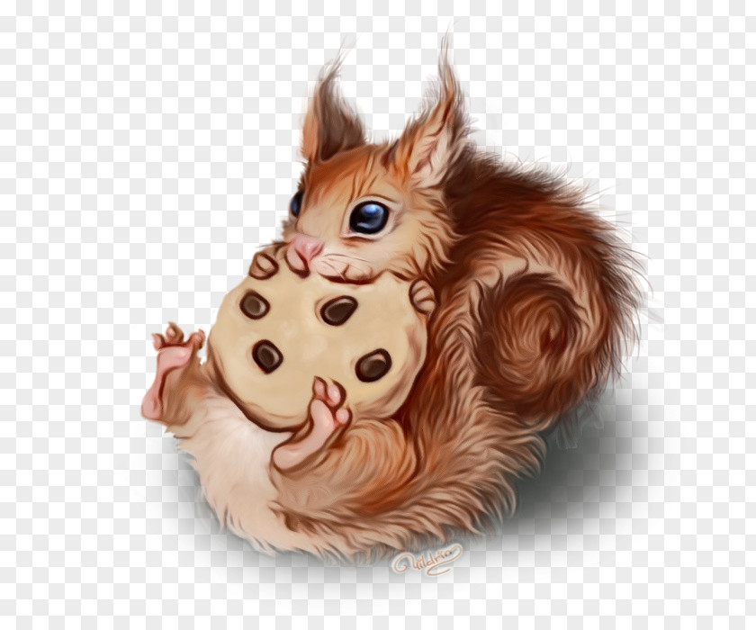 Whiskers Animal Figure Squirrel Cartoon Animation Fur Eurasian Red PNG