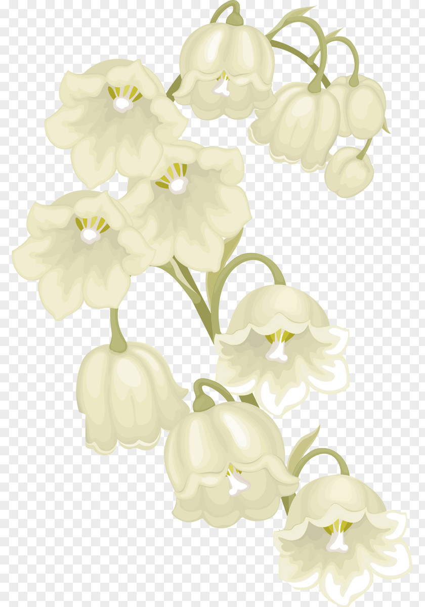 1 May Cut Flowers Plant Stem Lily Of The Valley PNG