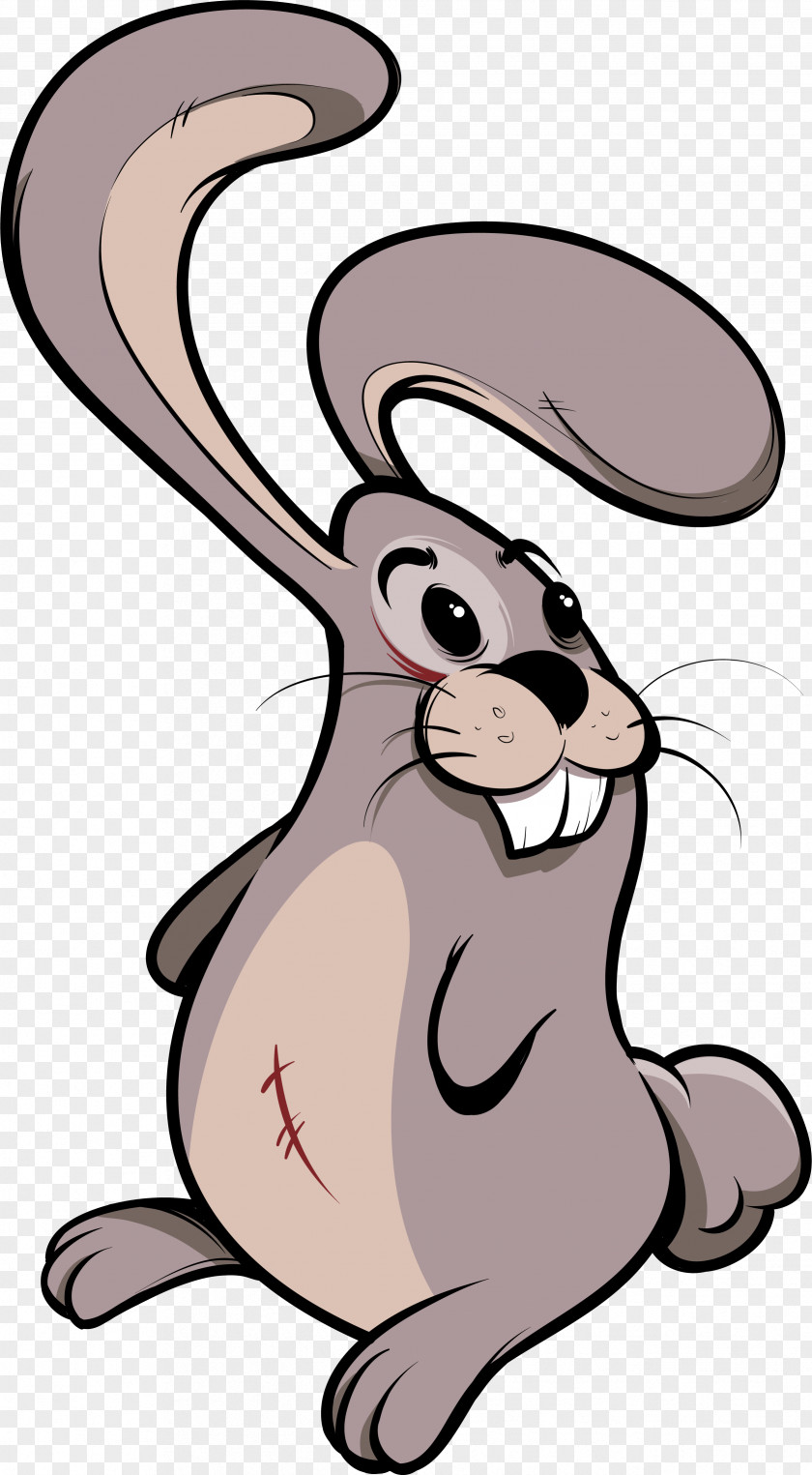 Cartoon Hand Drawing Rabbit Domestic Little White Illustration PNG