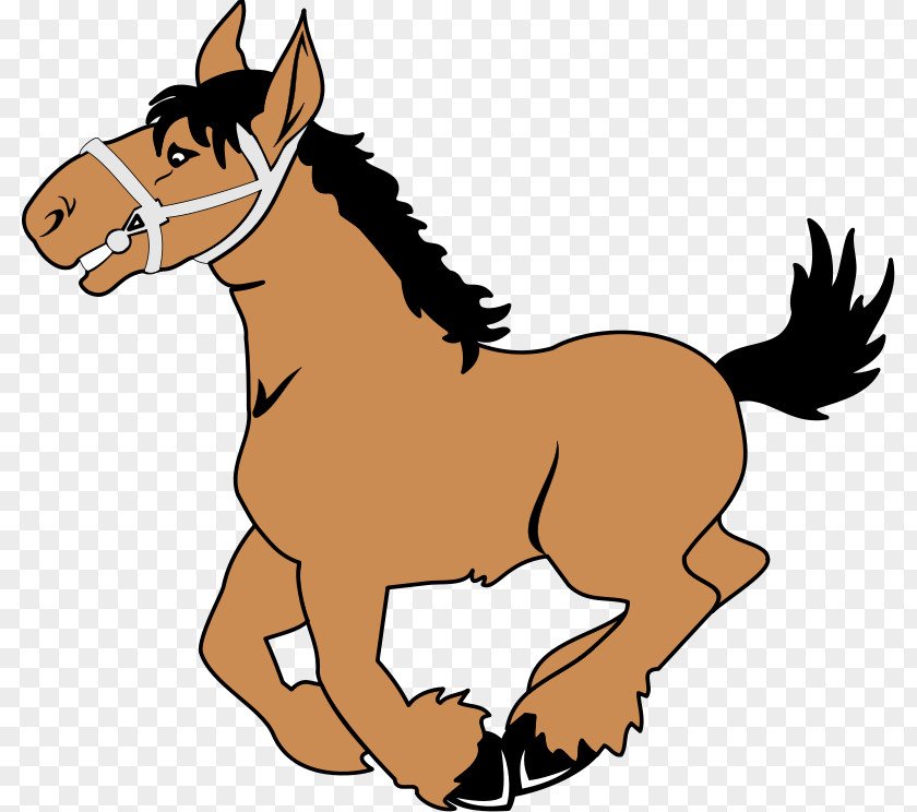 Free Vector Horse Cartoon Pony Humour Clip Art PNG