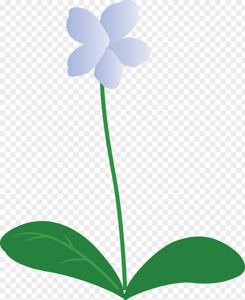 Violet Flower PNG