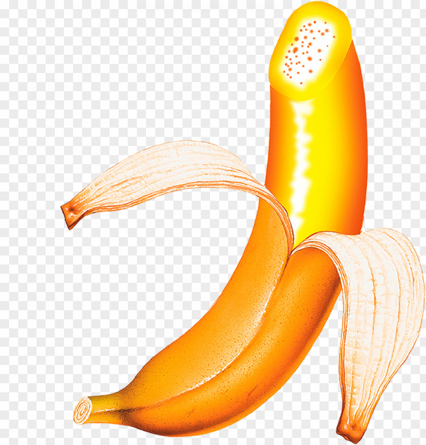 Banana Pudding Fruit Computer File PNG